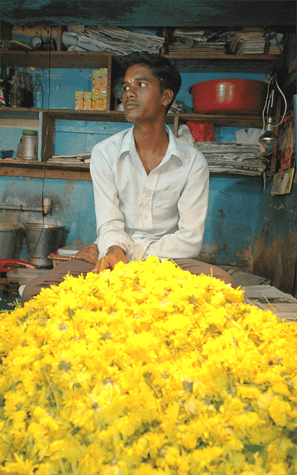 La couleur des fleurs